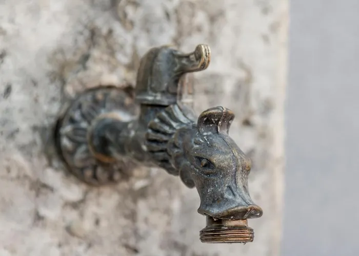 בית נופש Capre *